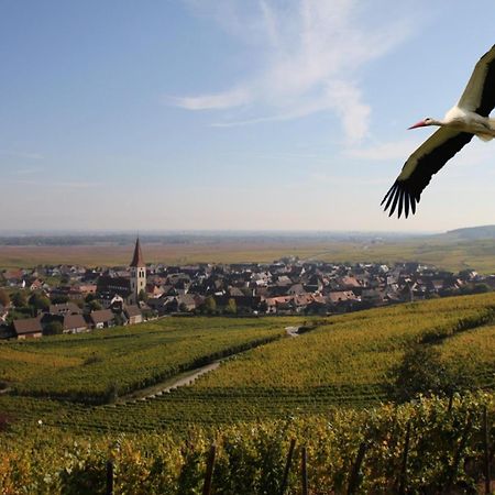 أمرشفير Les Chambres Du Vignoble المظهر الخارجي الصورة